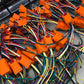 USA Tomberlin 150 150R Wiring Harness Crossfire Punisher (AC)